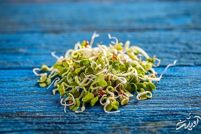 ویتامین های جوانه عدس برای کودکان جوانه عدس